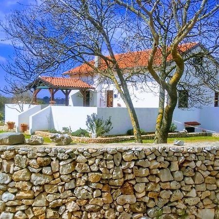House Soni - 800 M From The Sea Villa Rovinj Exterior photo