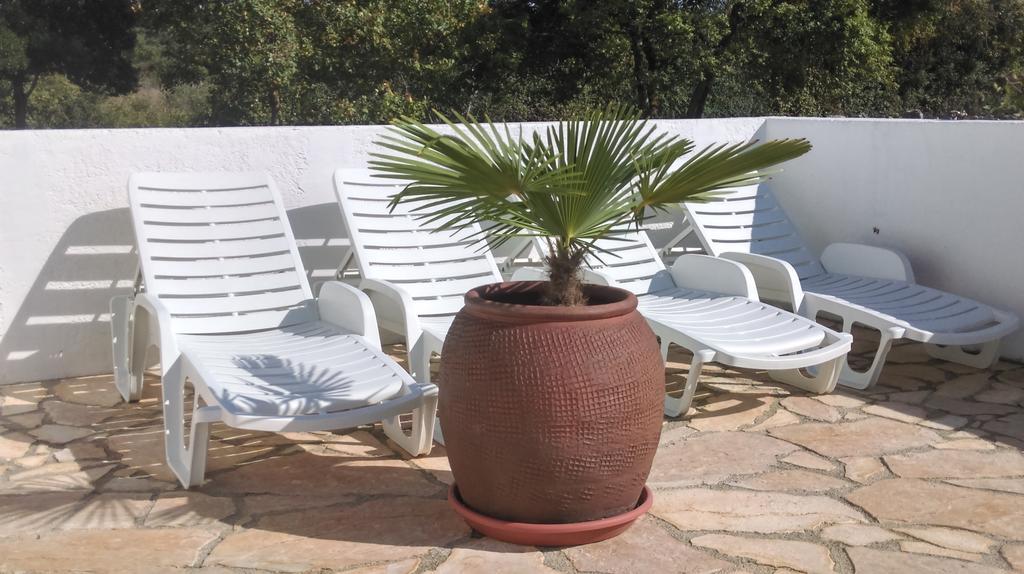 House Soni - 800 M From The Sea Villa Rovinj Exterior photo
