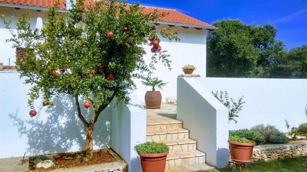 House Soni - 800 M From The Sea Villa Rovinj Exterior photo